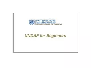 UNDAF for Beginners