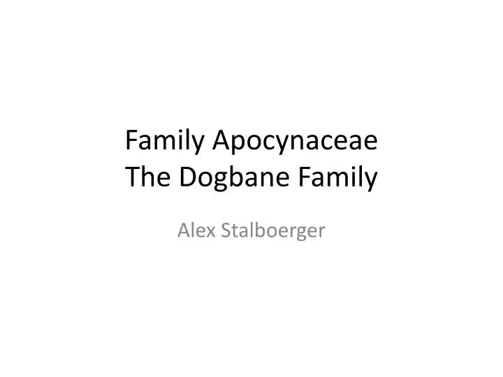 family apocynaceae the dogbane family