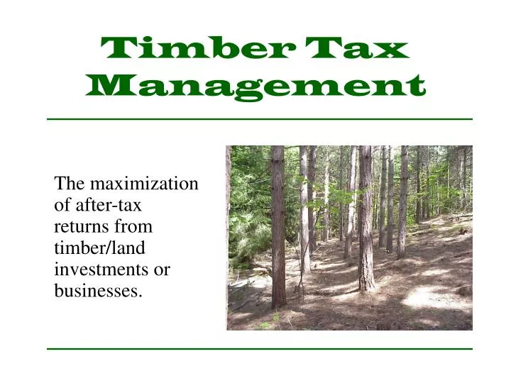 timber tax management