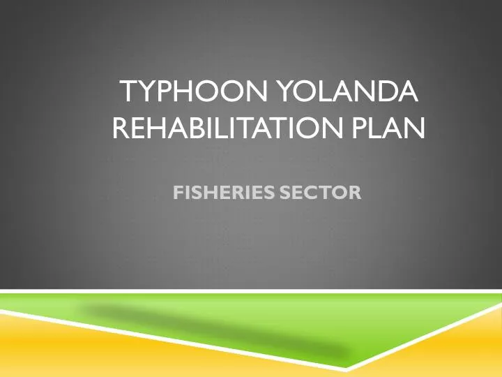 typhoon yolanda rehabilitation plan