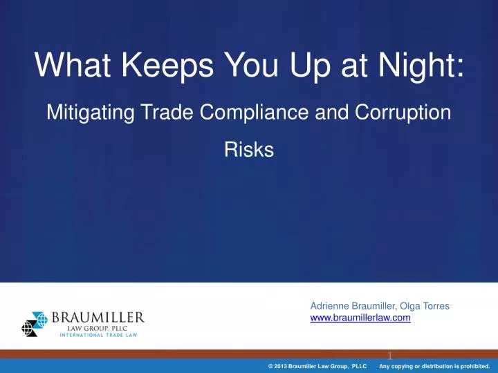 what keeps you up at night mitigating trade compliance and corruption risks