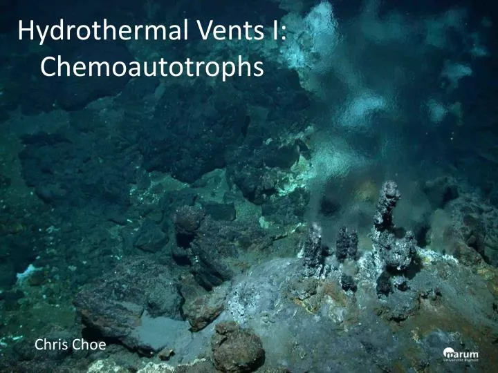 hydrothermal vents i chemoautotrophs