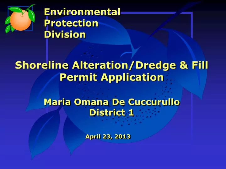 shoreline alteration dredge fill permit application maria omana de cuccurullo district 1