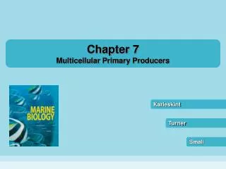 Chapter 7 Multicellular Primary Producers