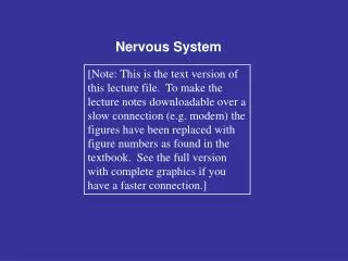 Nervous System