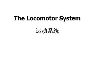 The Locomotor System ????