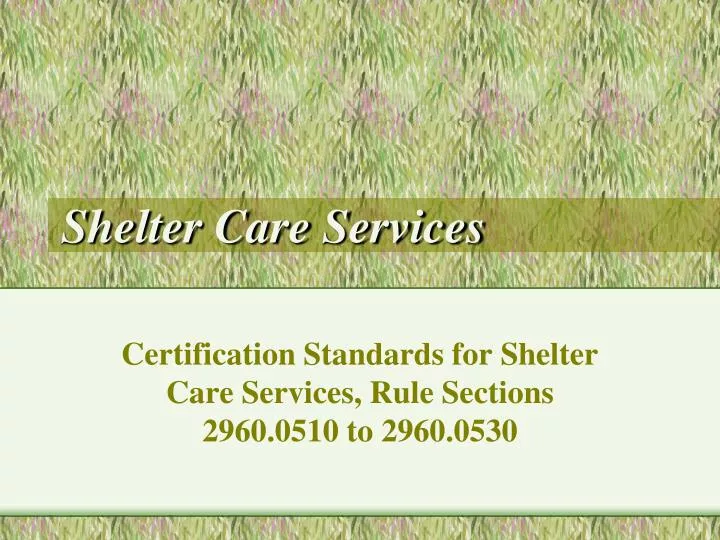 shelter care services