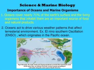 Science &amp; Marine Biology