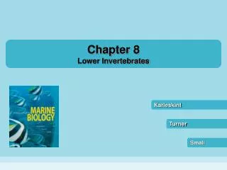 Chapter 8 Lower Invertebrates