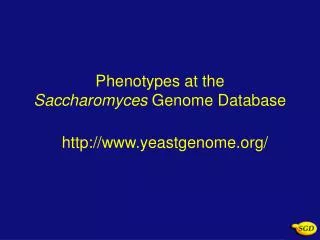 Phenotypes at the Saccharomyces Genome Database