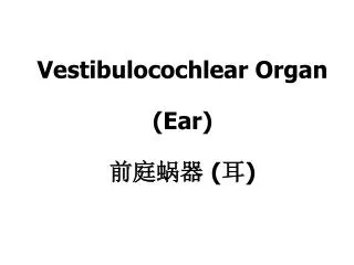 Vestibulocochlear Organ (Ear) ???? ( ? )