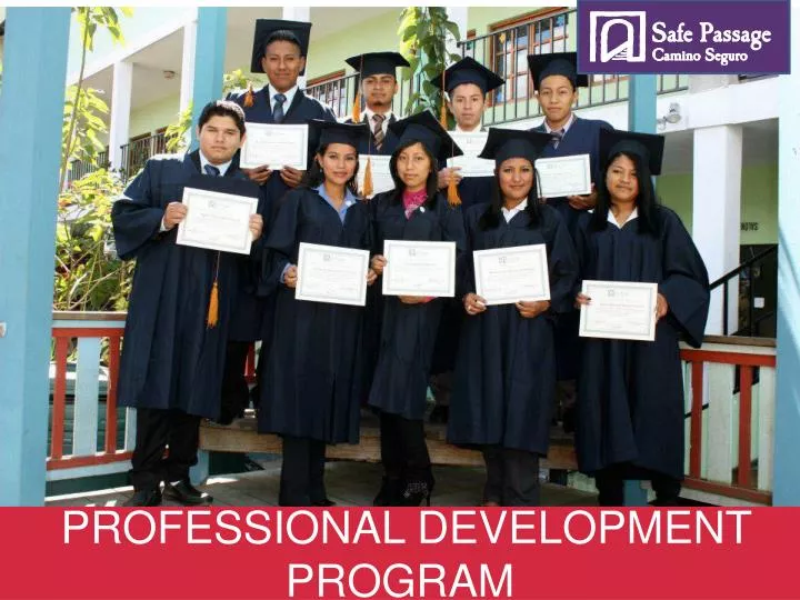 professional development program