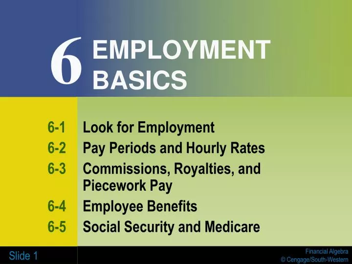employment basics