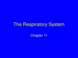 The Respiratory System