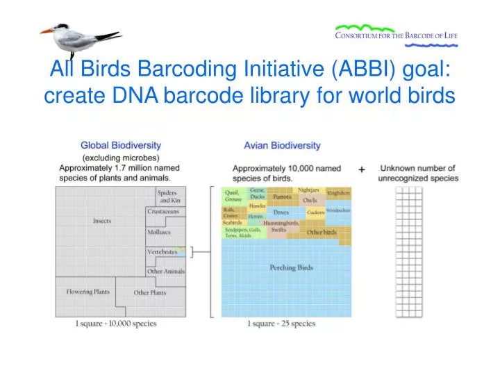 all birds barcoding initiative abbi goal create dna barcode library for world birds