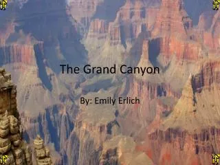 the grand canyon