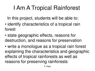 I Am A Tropical Rainforest