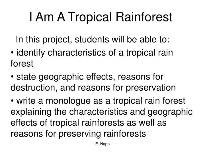 i am a tropical rainforest