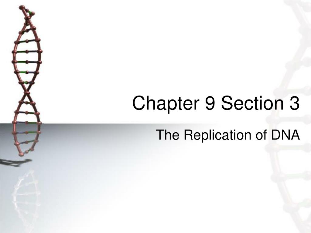 PPT - Understanding DNA Replication and Enzyme Roles PowerPoint ...