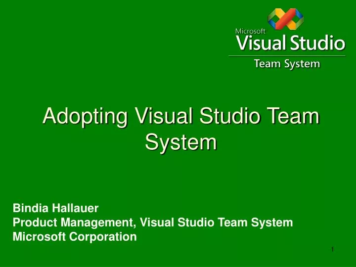 adopting visual studio team system