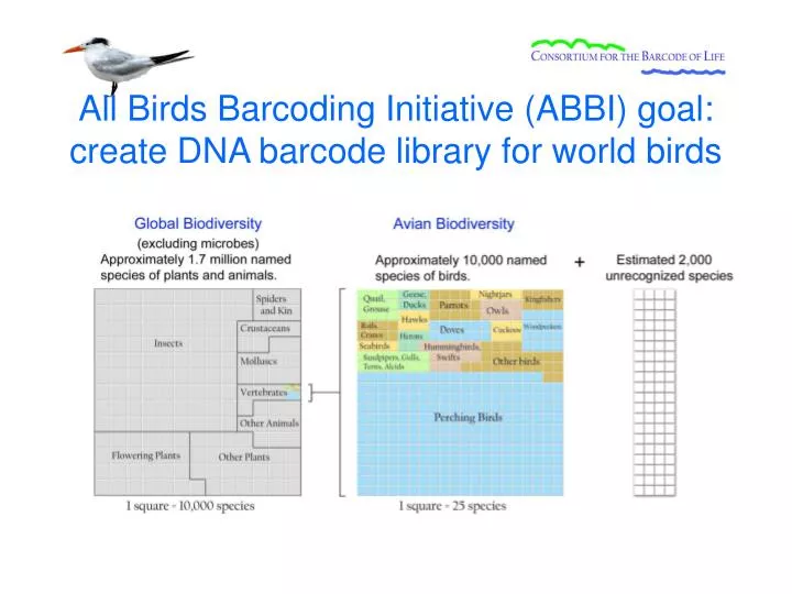 all birds barcoding initiative abbi goal create dna barcode library for world birds