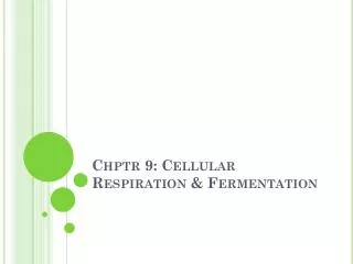 Chptr 9: Cellular Respiration &amp; Fermentation