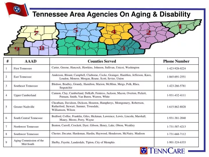 tennessee area agencies on aging disability