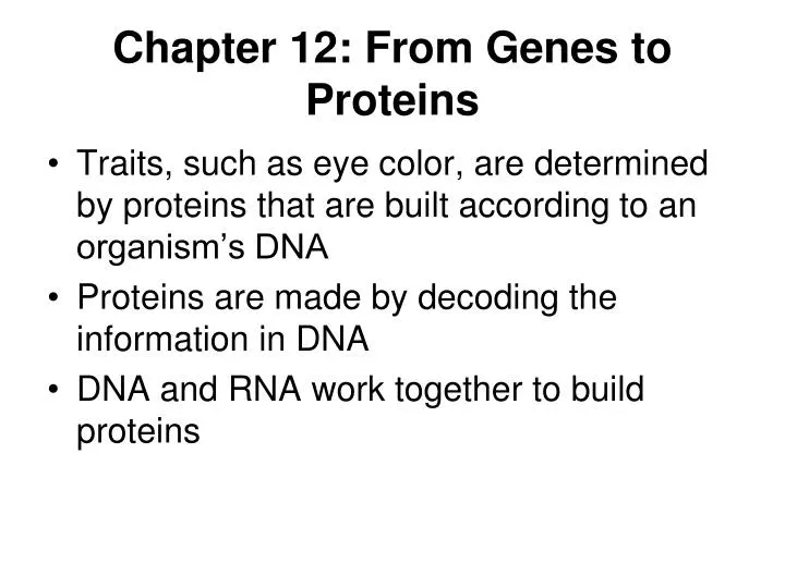 chapter 12 from genes to proteins