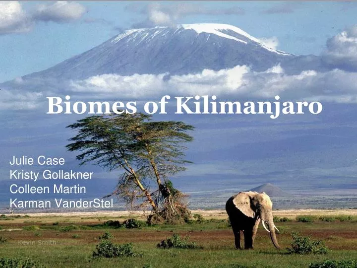 biomes of kilimanjaro