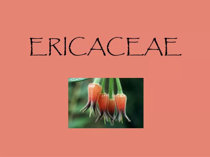ericaceae