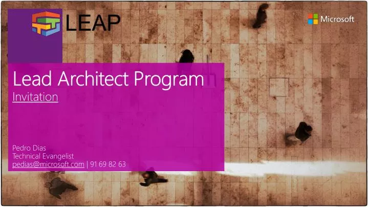 lead architect program