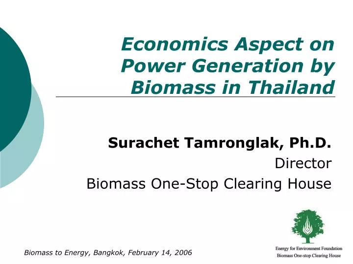 economics aspect on power generation by biomass in thailand