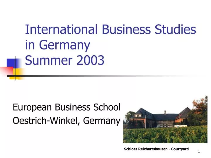 international business studies in germany summer 2003