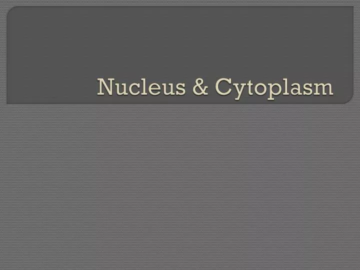 nucleus cytoplasm