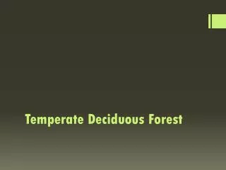 temperate deciduous forest