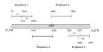 Comprehensive Analysis of ORF Variants in Human Genome - slide 1