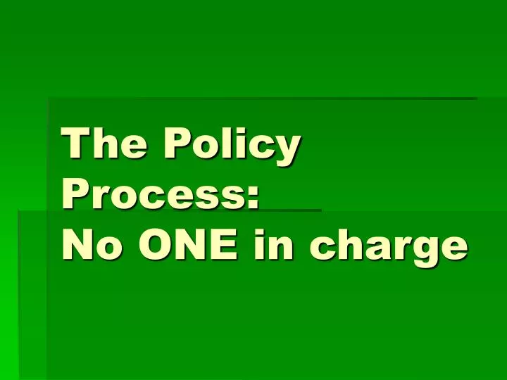 the policy process no one in charge