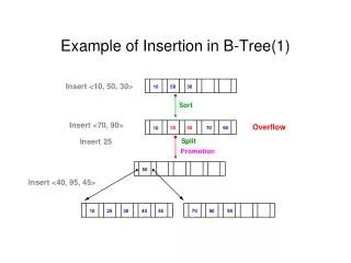Example of Insertion in B-Tree(1)