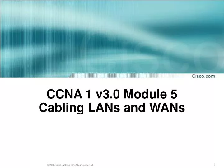 ccna 1 v3 0 module 5 cabling lans and wans