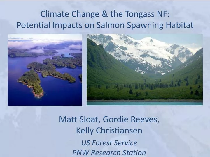 climate change the tongass nf potential impacts on salmon spawning habitat