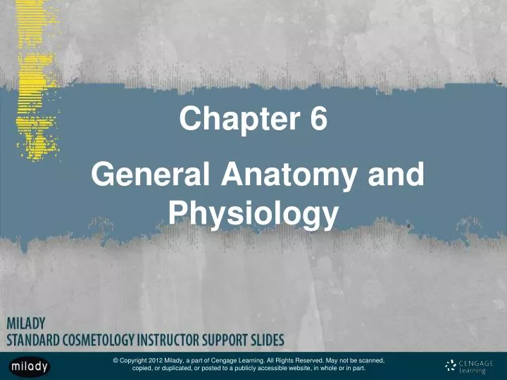chapter 6 general anatomy and physiology