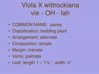 Viola X wittrockiana vie - OH - lah