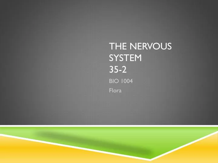 the nervous system 35 2