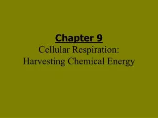 Chapter 9 Cellular Respiration: Harvesting Chemical Energy