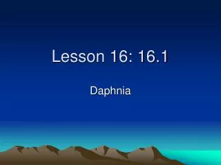 Lesson 16: 16.1