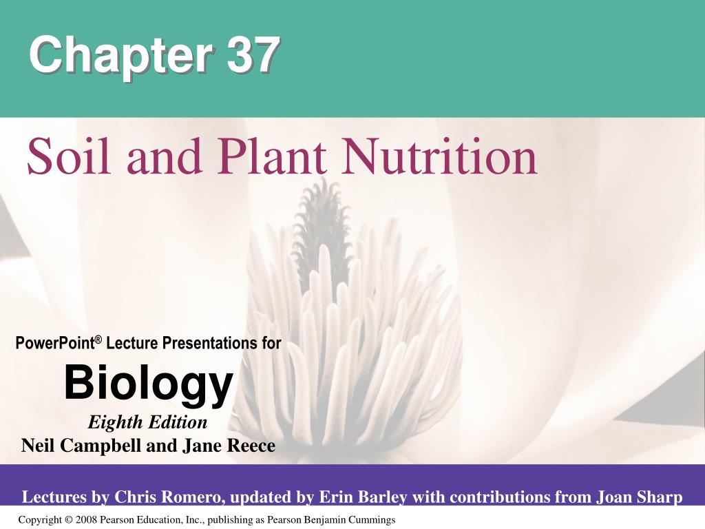 PPT - Chapter 37 PowerPoint Presentation, free download - ID:6815831