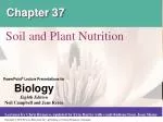 Chapter 37 - slide 1