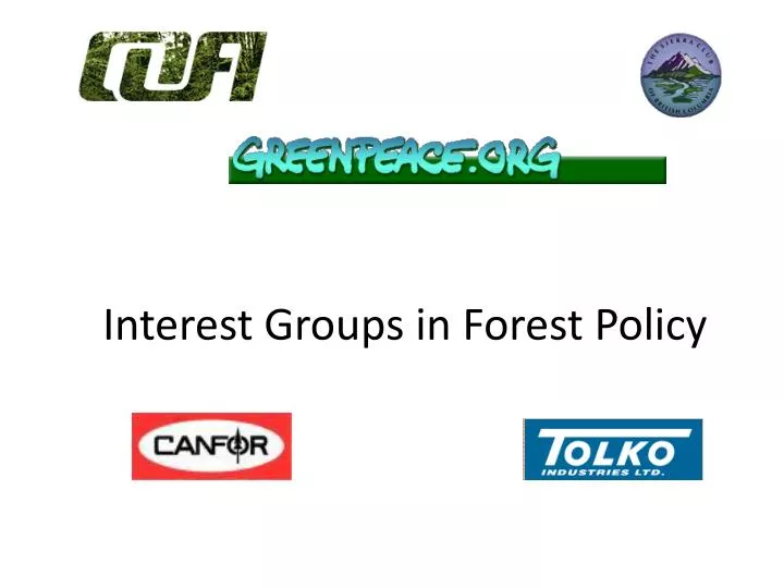 interest groups in forest policy