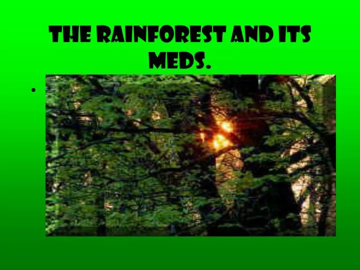 the rainforest and its meds