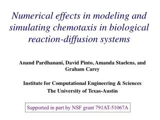 Numerical effects in modeling and simulating chemotaxis in biological reaction-diffusion systems